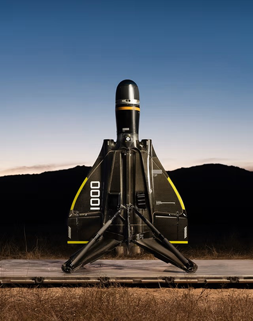 Anti-drone system