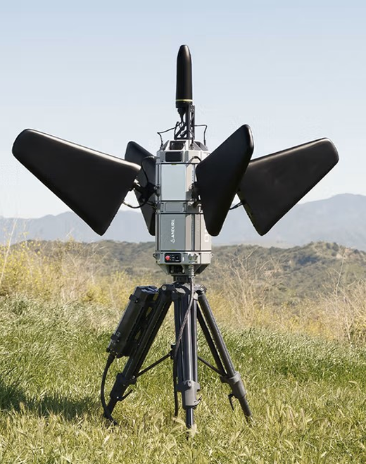 Anti-drone system